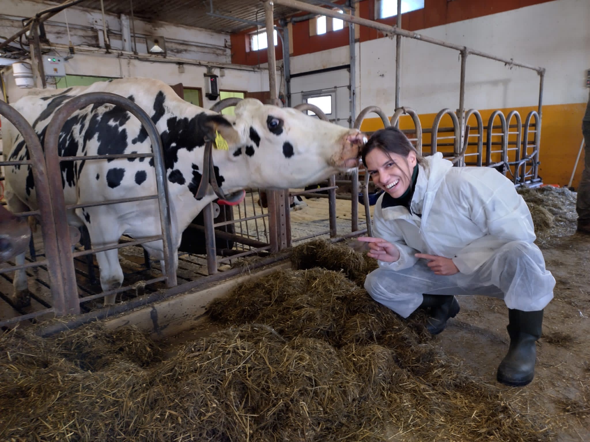 Farming Innovation Programme winner Antler Bio pioneering research on cattle epigenetics
